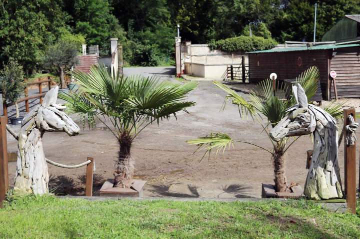 Pension pour chevaux Île-de-France