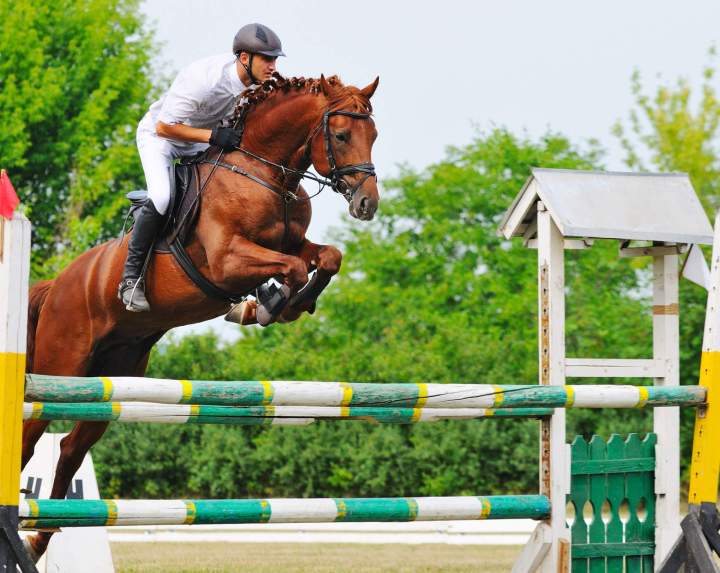 Épreuves CSO Île-de-France