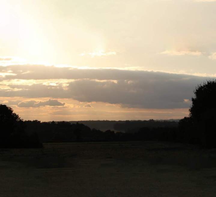 Pension pour chevaux Île-de-France