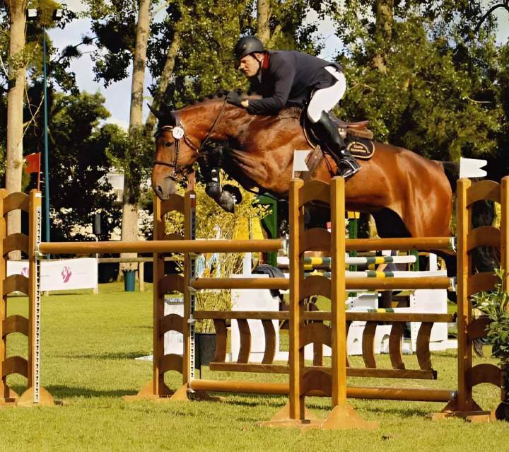 Concours de saut d’obstacles Île-de-France
