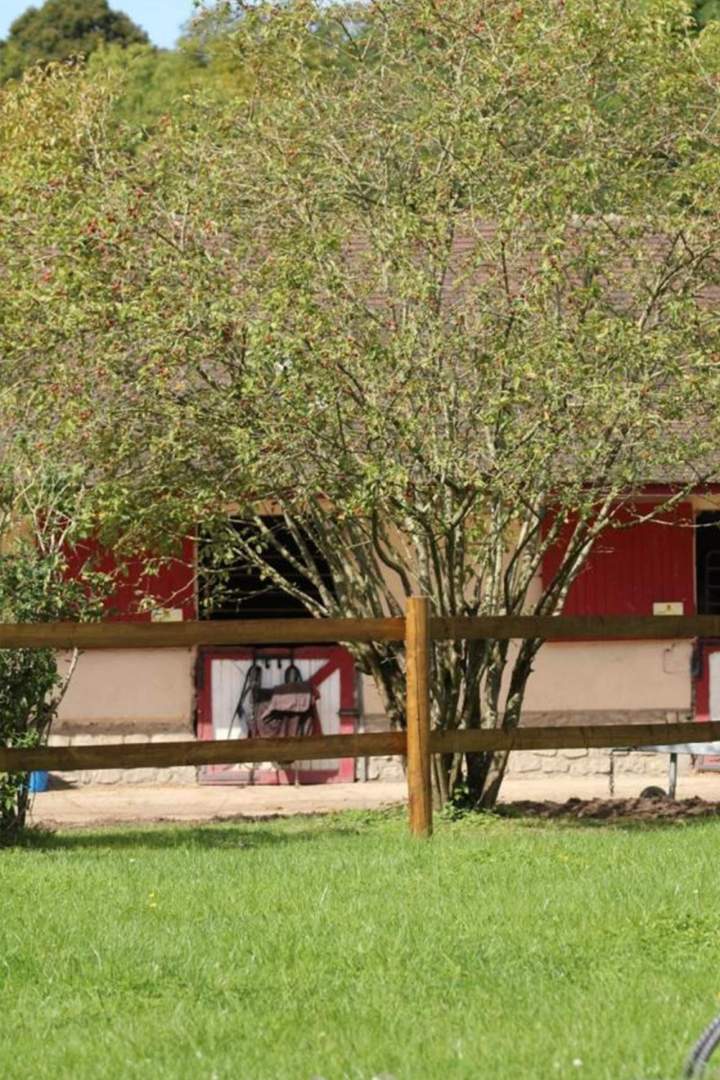 Centre d’élevage équin Île-de-France