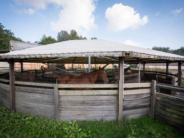 Centre équestre en Île-de-France
