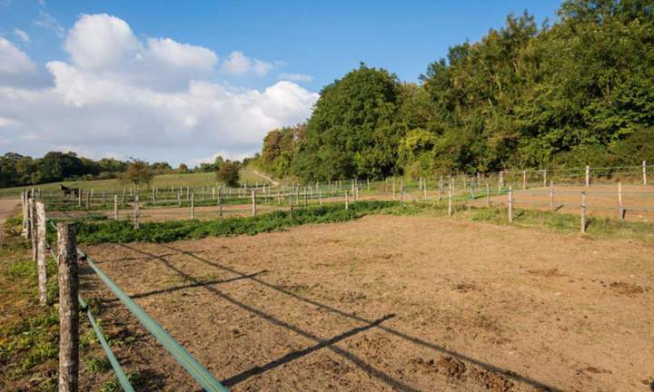 Service de pension équine Île-de-France