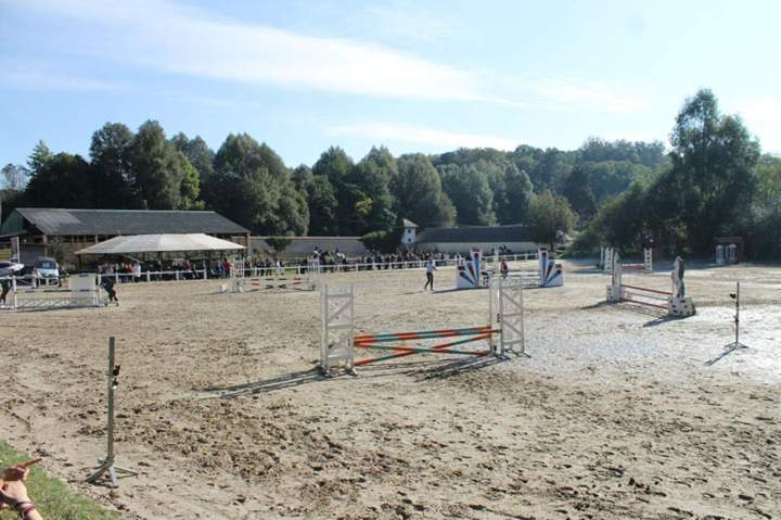 Haras spécialisé en Île-de-France