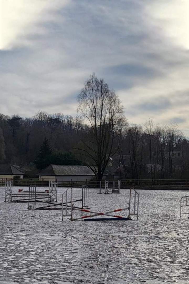 Pension pour chevaux Île-de-France