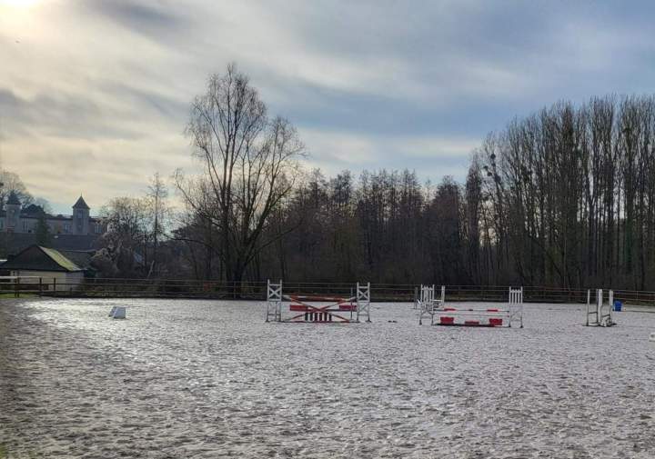 Service de pension équine Île-de-France