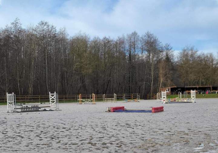 Service de pension équine Île-de-France