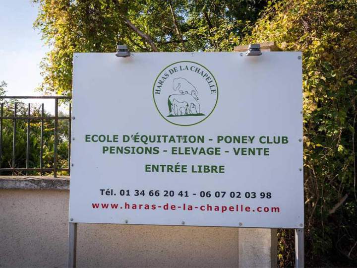 Service de pension équine Île-de-France