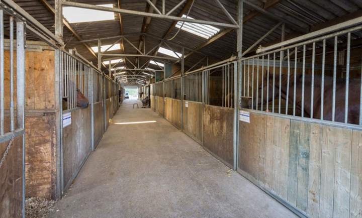 Écurie de sport et élevage Île-de-France