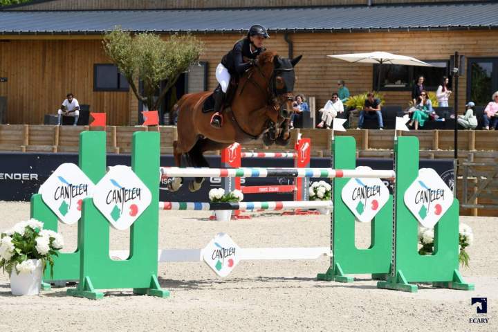 Concours de saut d’obstacles Île-de-France