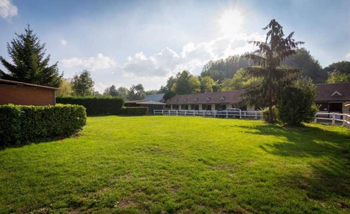 Élevage équin Île-de-France