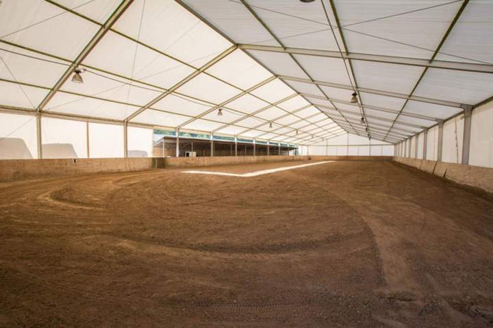 Élevage équin Île-de-France